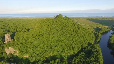 Green Forest on a rock. Copter flying above the forest on a cliff. Against the Stock Footage 73059087