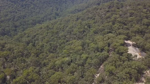 Green forest scenery Stock Footage 104630000