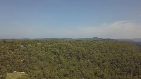 Green forest scenery Stock Footage 104630152