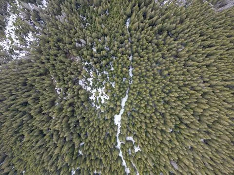 A green forest is seen from above, with path in the snow on the ground Stock Photos