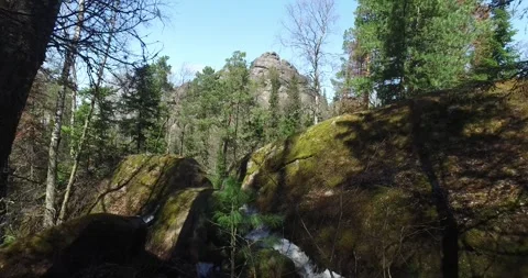 Green forest, stones, waves, coniferous forest Stock Footage 275332953