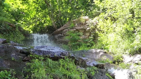 Green forest stream water, Turkey 스톡 동영상 108433860