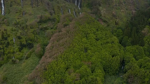 Green forest, streams of waterfall and cloud on the top of steep mountain Stock Footage 117307150
