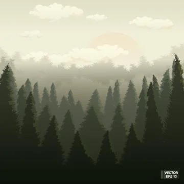 Green forest at sunset. Stockillustratie