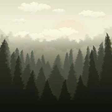 Green forest at sunset. Stock Illustration