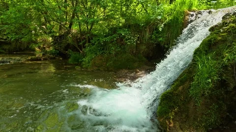 Green forest surrounds rushing, clear water. Gostilje Waterfall, Serbia. Vídeo Stock 337060677