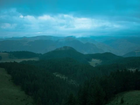 Green forest timelapse Stock Footage