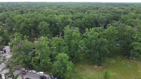 Green Forest Timisoara Stock Footage 199500648