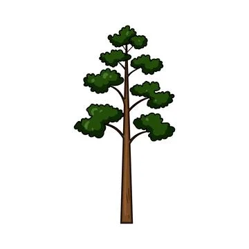 Green forest tree with brown trunk illustration Stock Illustration