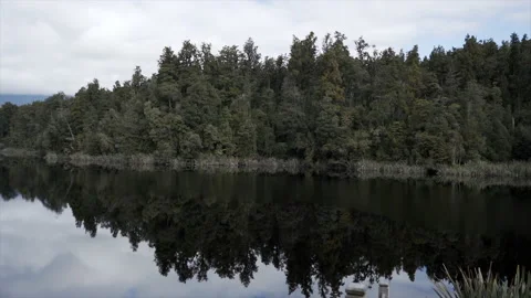 Green forest with trees and lake matheson with incredible views Stock Footage 214367109