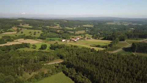 Green Forest Trees Landscape With Small Village 動画素材 230449267