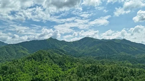 Green Forest Valley Cloud Mist Delay Stock Footage 282239521