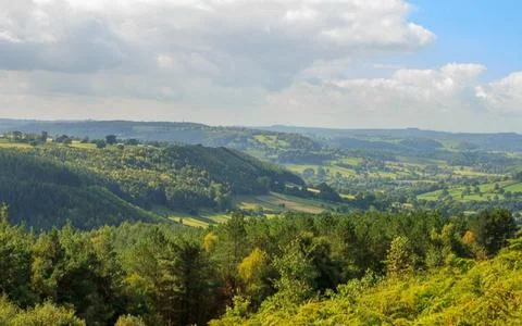 The green forest view with blue sky and the white clouds Stock Photos