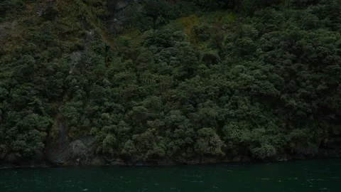 Green forest wall rocky cliffs by the ocean water Stock Footage 140610941