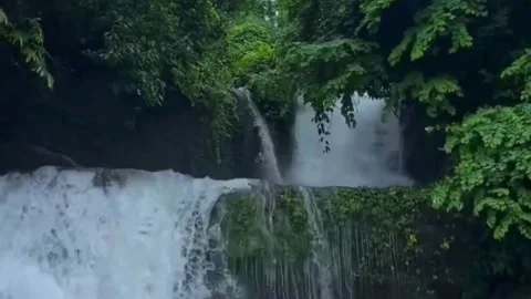 Green Forest Waterfall and Rocky Stream Stock Footage 337760932