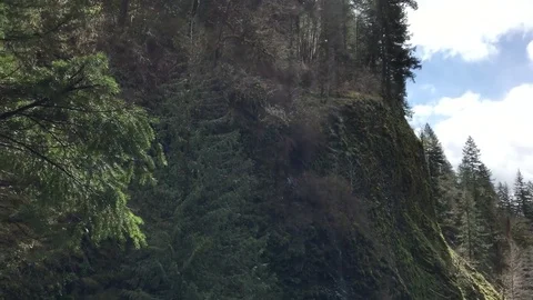 Green forest waterfall to fast flowing river Vídeos de archivo 76504574