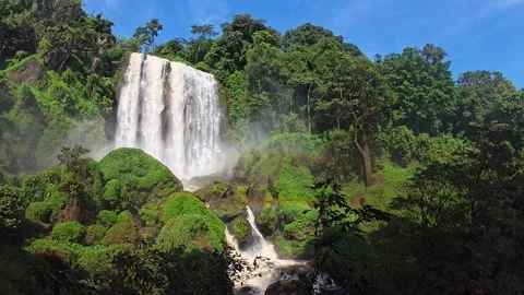 Green Forest Waterfall in Slow Motion Video stock 273495506