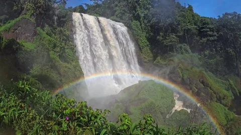 Green Forest Waterfall in Slow Motion Stock-Footage 273498206