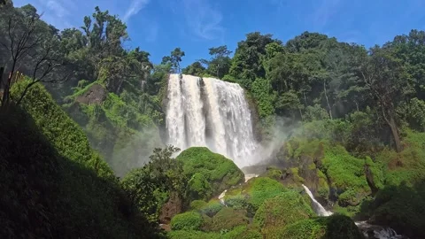 Green Forest Waterfall in Slow Motion Video stock 273498215