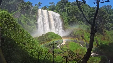 Green Forest Waterfall in Slow Motion Video stock 273498222