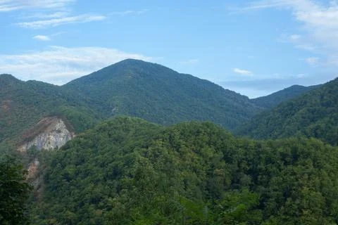 Green forested mountains Stock Photos