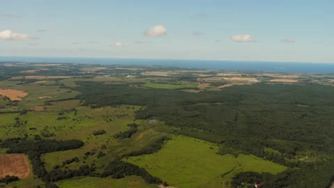 Green forests and fields, top view Stock Footage 162516791