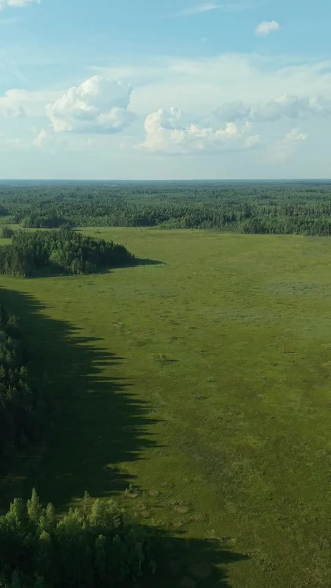 Green forests and moss-covered bogs against a blue, cloud-streaked sky. The Видео 317902993