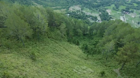 Green forests and valleys in Sumatra, Indonesia Stock Footage 213921862