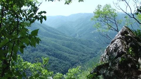 Green Forests Landscape Stock Footage 46114709