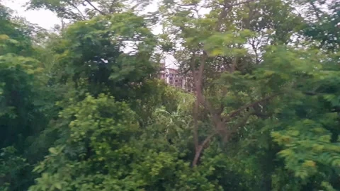 Green forests outside view from indian passenger express train running on tra Stock Footage 203944238