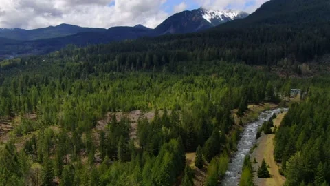 Green Forrest and Mountains Video stock 160016559