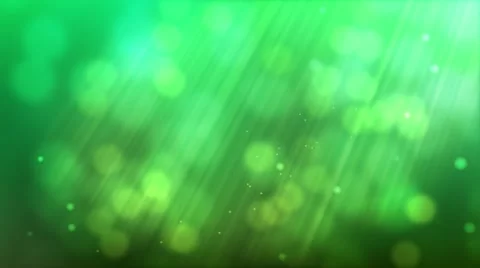 Green Forrest Background Stock Footage