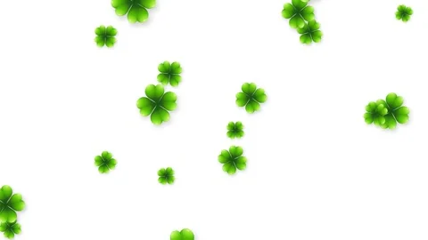 Green Four Leaf Clover Objects Falling on White Background Animation 스톡 동영상 339756420