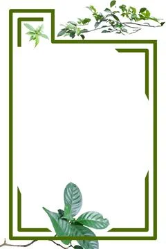 Green frame decorated with leaves Stock Illustration