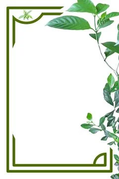 Green frame decorated with leaves Stock Illustration