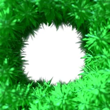 Green frame of foliage leaf fur flying in the space and have a copyspace fo.. Stock Illustration