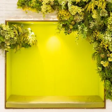 The green frame has a light yellow flower arch on the white wall. Fotos de archivo
