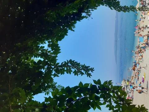 Green Frame Stock Photos