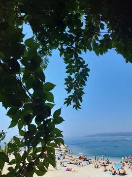 Green Frame Stock Photos