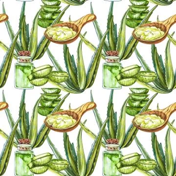 Green fresh aloe vera leaf with aloe gel in wooden spoon. Watercolor agave, aloe Stock Illustration