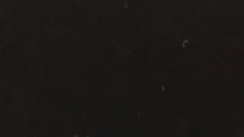 Green fresh broccoli in a closeup view as clean liquid water sprays over the Stock Footage 102585527