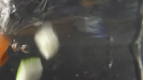 Green fresh broccoli in a closeup view as clean liquid water sprays over the Stock Footage 102585791