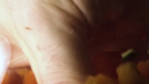 Green fresh broccoli in a closeup view as clean liquid water sprays over the Stock Footage 102586020