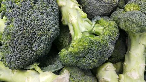 Green fresh broccoli pile placed in market for sale. Foto stock