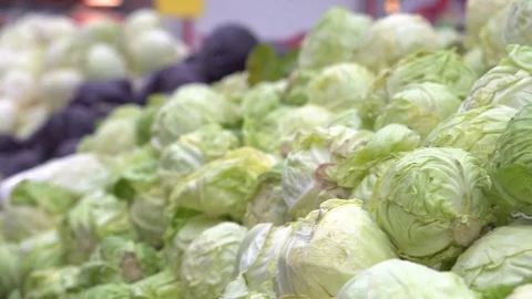 Green fresh cabbage on the counter of the hypermarket. Vegetable department Stock Footage 84036123