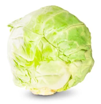 Green fresh cabbage Stock Photos