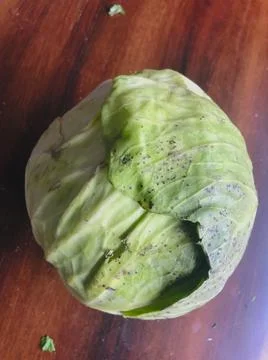 Green Fresh Cabbage for Ready for Making Vegetable Item Stock Photos