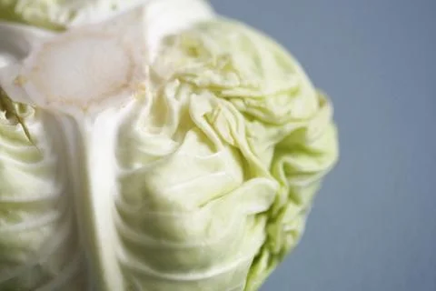 Green Fresh cabbage texture close up Foto stock