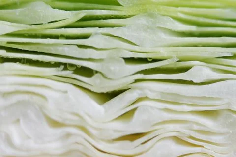 Green Fresh cabbage texture close up Foto stock