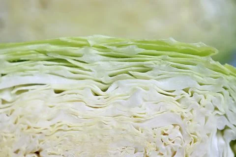 Green Fresh cabbage texture close up Stock Photos